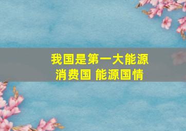 我国是第一大能源消费国 能源国情